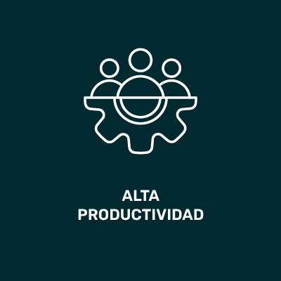 Alta productividad